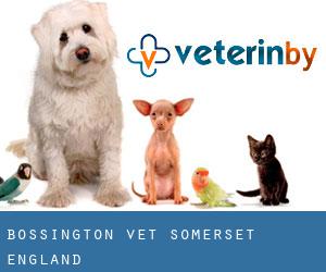 Bossington vet (Somerset, England) Bossington vet (Somerset, England)