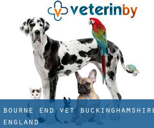 Bourne End vet (Buckinghamshire, England)