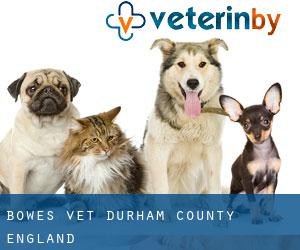 Bowes vet (Durham County, England)