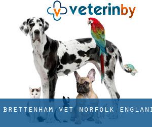 Brettenham vet (Norfolk, England)