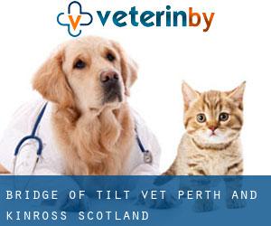 Bridge of Tilt vet (Perth and Kinross, Scotland)