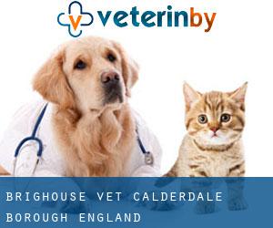 Brighouse vet (Calderdale (Borough), England)