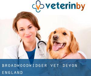 Broadwoodwidger vet (Devon, England)