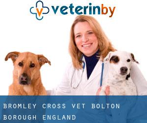 Bromley Cross vet (Bolton (Borough), England)
