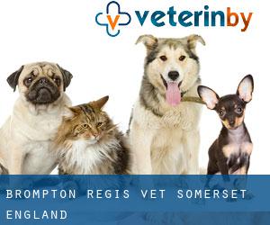 Brompton Regis vet (Somerset, England)