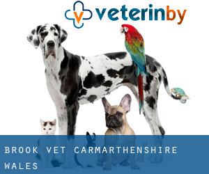 Brook vet (Carmarthenshire, Wales)