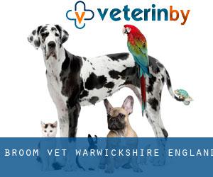 Broom vet (Warwickshire, England)