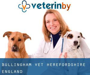 Bullingham vet (Herefordshire, England)