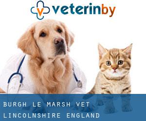 Burgh le Marsh vet (Lincolnshire, England)