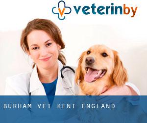 Burham vet (Kent, England)