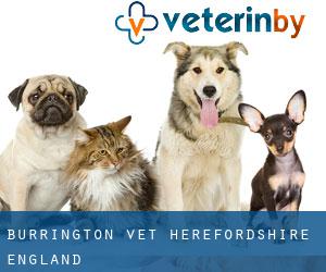 Burrington vet (Herefordshire, England)