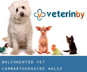 Bwlchnewydd vet (Carmarthenshire, Wales)