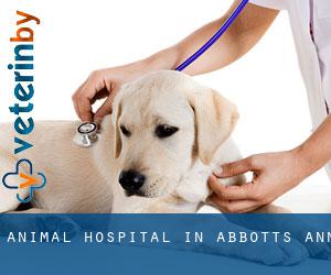 Animal Hospital in Abbotts Ann