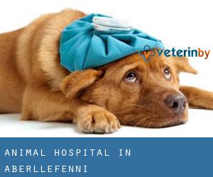 Animal Hospital in Aberllefenni