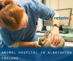 Animal Hospital in Albrighton (England)