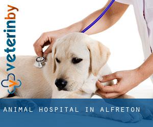 Animal Hospital in Alfreton