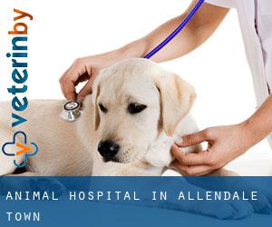 Animal Hospital in Allendale Town