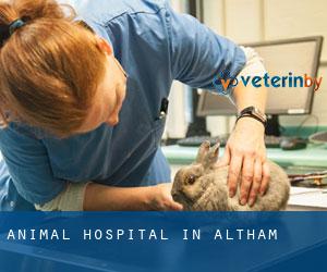 Animal Hospital in Altham