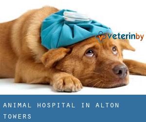 Animal Hospital in Alton Towers