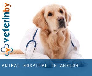 Animal Hospital in Anslow