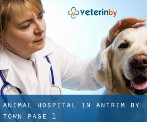 Animal Hospital in Antrim by town - page 1