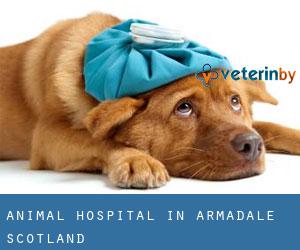 Animal Hospital in Armadale (Scotland)