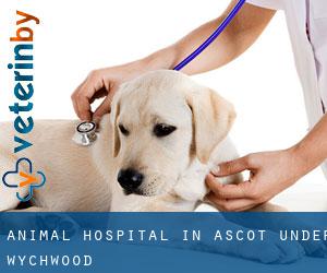 Animal Hospital in Ascot under Wychwood
