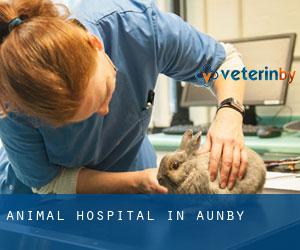 Animal Hospital in Aunby