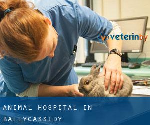 Animal Hospital in Ballycassidy