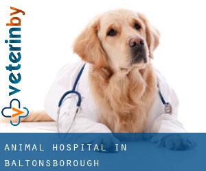 Animal Hospital in Baltonsborough