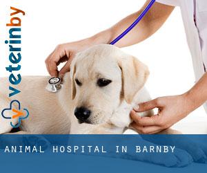 Animal Hospital in Barnby Animal Hospital in Barnby