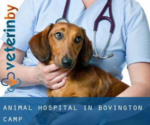 Animal Hospital in Bovington Camp