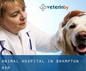 Animal Hospital in Brampton Ash Animal Hospital in Brampton Ash