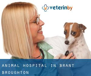 Animal Hospital in Brant Broughton