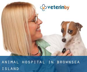 Animal Hospital in Brownsea Island