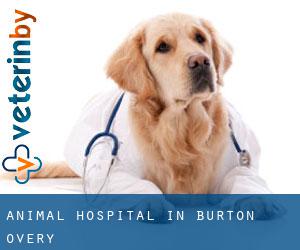 Animal Hospital in Burton Overy
