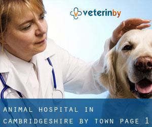 Animal Hospital in Cambridgeshire by town - page 1