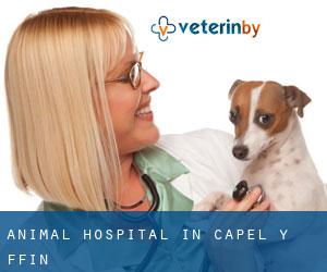 Animal Hospital in Capel-y-ffin