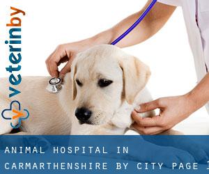 Animal Hospital in Carmarthenshire by city - page 1