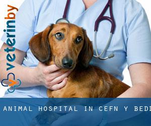 Animal Hospital in Cefn-y-bedd
