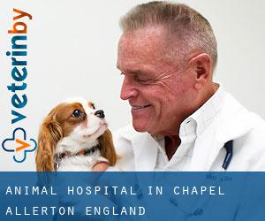 Animal Hospital in Chapel Allerton (England)