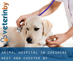 Animal Hospital in Cheshire West and Chester by metropolitan area - page 1