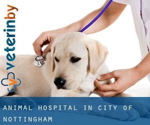Animal Hospital in City of Nottingham