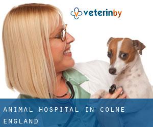 Animal Hospital in Colne (England)