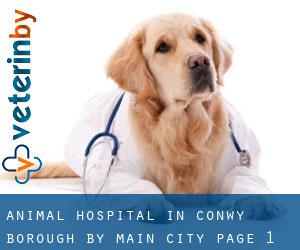 Animal Hospital in Conwy (Borough) by main city - page 1
