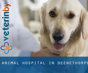 Animal Hospital in Deenethorpe