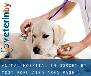 Animal Hospital in Dorset by most populated area - page 1