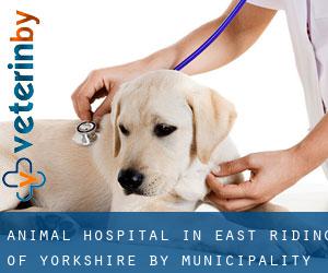 Animal Hospital in East Riding of Yorkshire by municipality - page 3