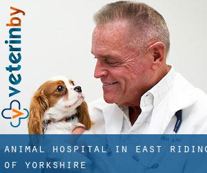 Animal Hospital in East Riding of Yorkshire