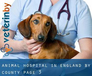Animal Hospital in England by County - page 3
